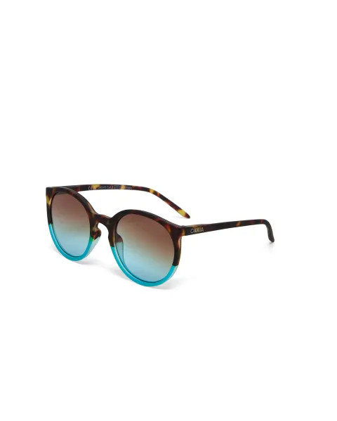 Gafas de Sol Okkia Berlino Habana y Azul | Montura Soft Touch y Filtro UV 400 | Maldita