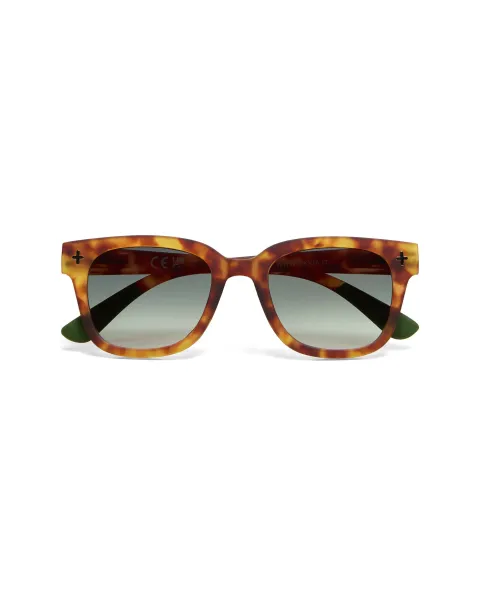 Gafas de Sol Okkia Giovanni Sahara Havana | Lentes Verdes Soft Touch UV 400 | Maldita