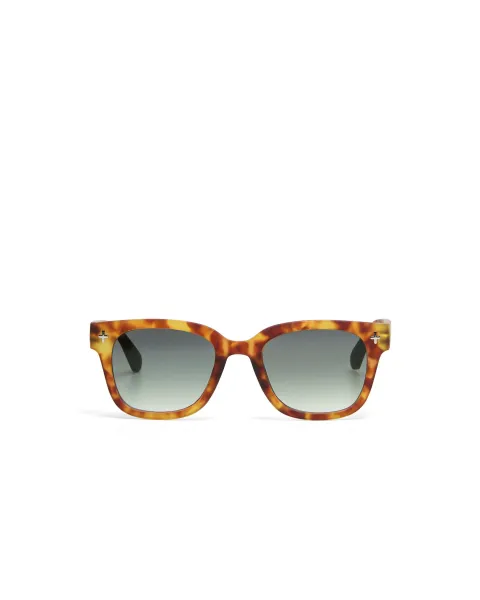 Gafas de Sol Okkia Giovanni Sahara Havana | Lentes Verdes Soft Touch UV 400 | Maldita