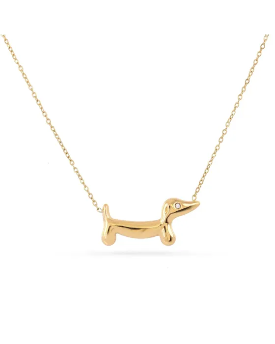 Colar Teckel de Aço Dourado Anartxy | Cão Salsicha | Maldita