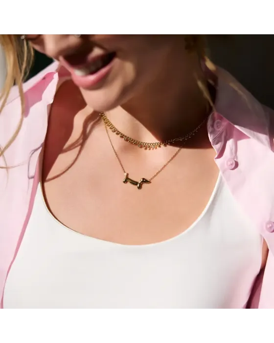 Collar Teckel de Acero Dorado Anartxy | Perro Salchicha | Maldita 2