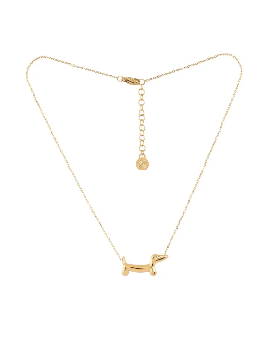 Colar Teckel de Aço Dourado Anartxy | Cão Salsicha | Maldita