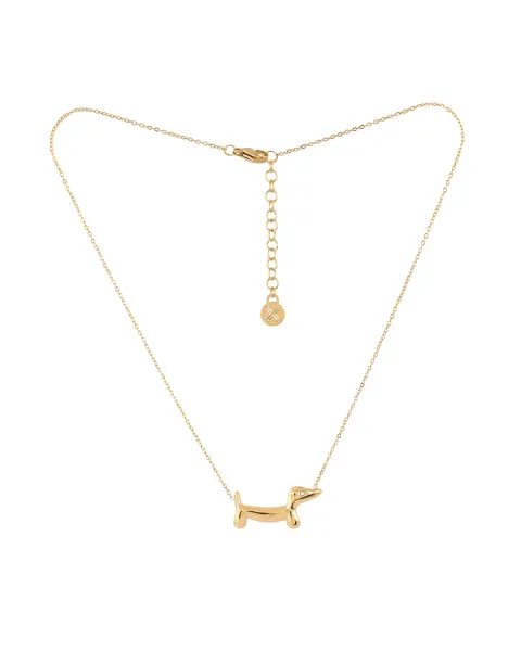 Colar Teckel de Aço Dourado Anartxy | Cão Salsicha | Maldita