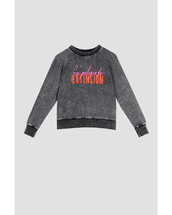 Sudadera Lolina Sencilla - Fem Rex, sudadera gris con estampado