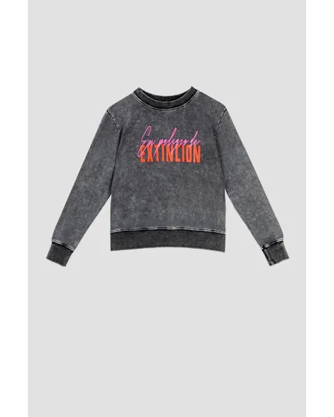 Sudadera Lolina Sencilla - Fem Rex, sudadera gris con estampado