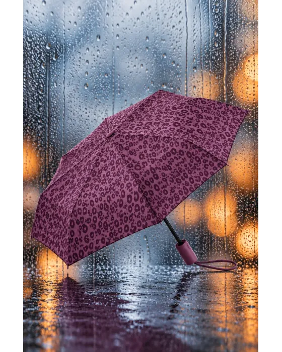 Guarda-chuva Dobrável Automático Clima Animal Print